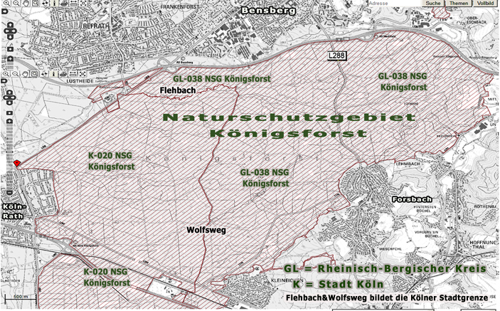 n_02_t_ kö_J81_horst.jpg